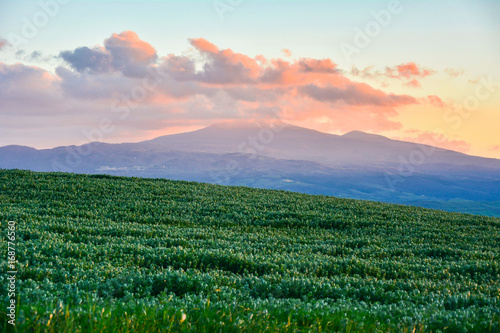 Spring landscape in the hills of Tuscany Italy, land of Brunello wine