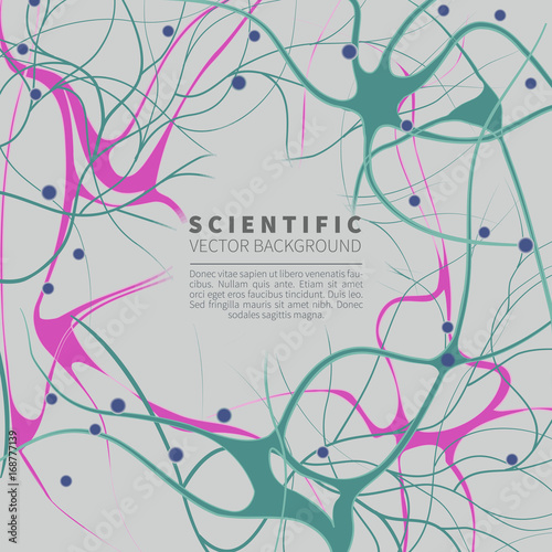 model of neural system