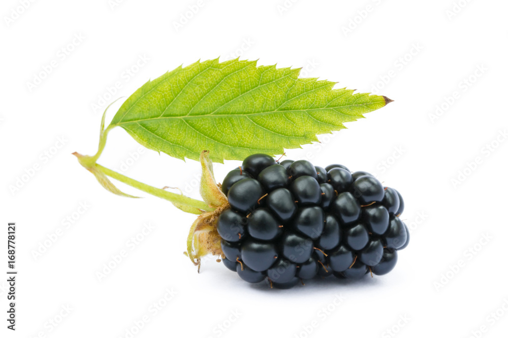 Ripe sweet blackberries isolated on a white background Ripe sweet blackberries isolated on a white background
