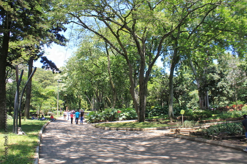 Paisaje. Jardín Botánico. Medellín, Colombia.