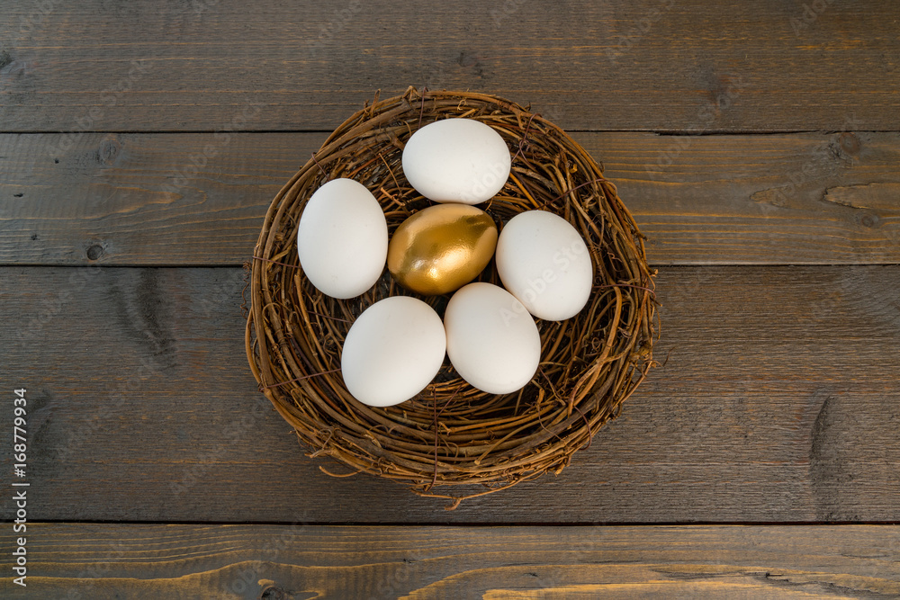 Golden Egg in Nest with White Eggs