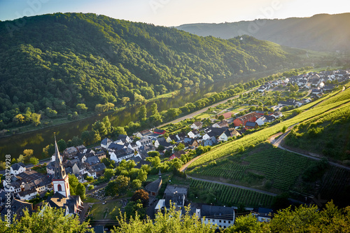 Sunset over vineyards of Moselle / City of Ediger-Eller in valley of Moselle in Germany  - Viticulture in Germany photo