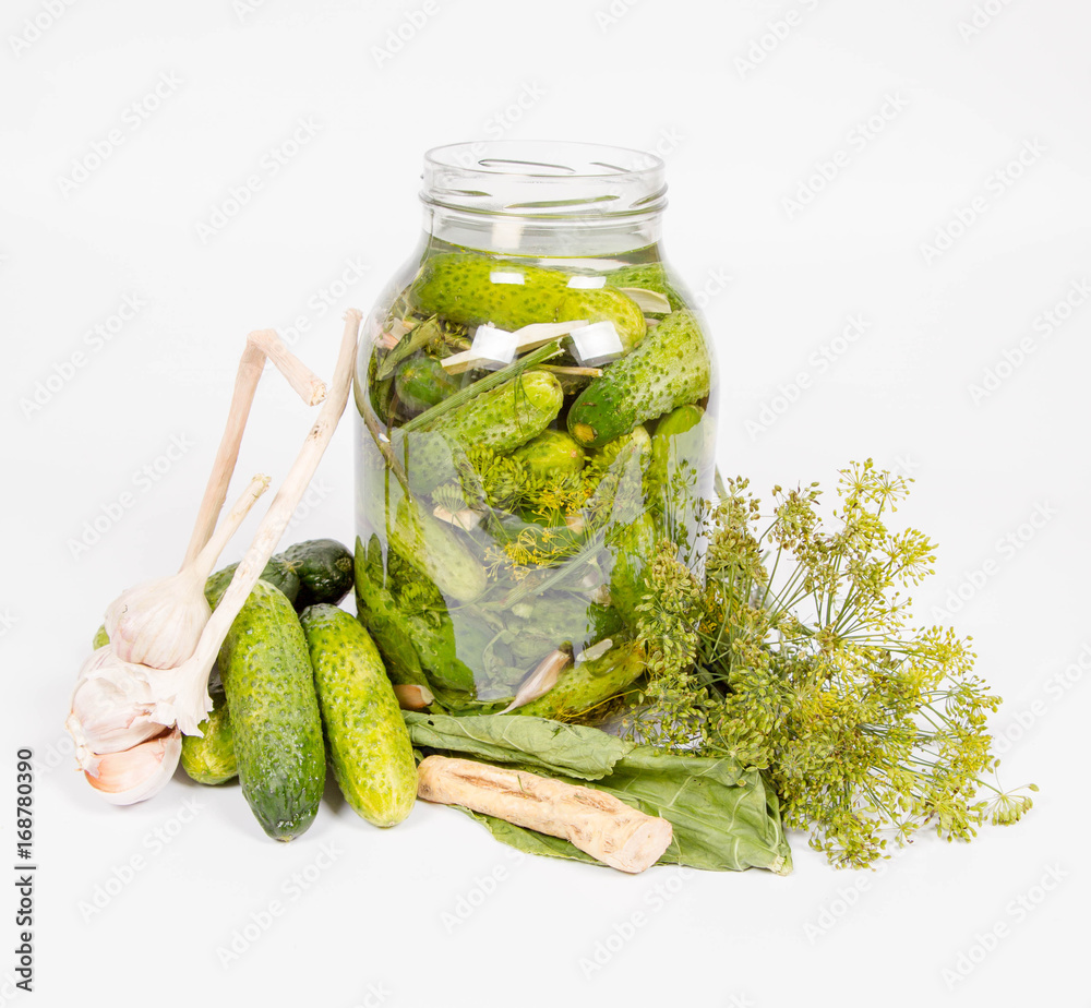 Brined pickles in a jar, with all the ingredients for making them (garlic, dill and horseradish) Brined pickles in a jar, with all the ingredients for making them (garlic, dill and horseradish)