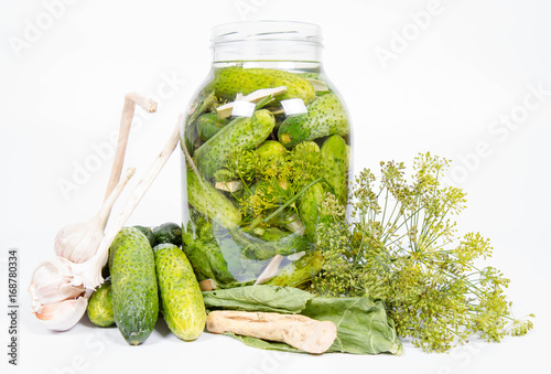 Brined pickles in a jar, with all the ingredients for making them (garlic, dill and horseradish)