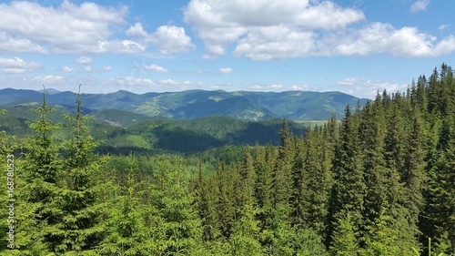 the landscape of the Carpathian mountains