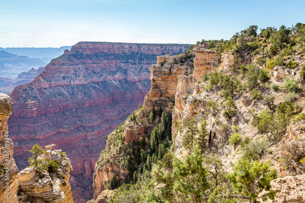 Fototapeta premium Grand Canyon National Park