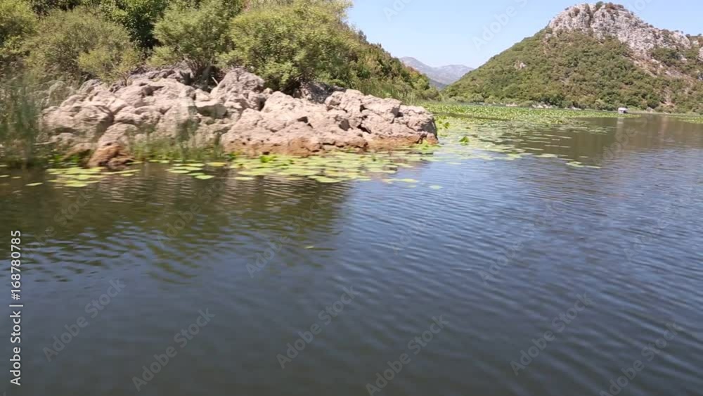 The boat sails along the Skadar Lake. Montenegro. The boat sails along the Skadar Lake. Montenegro.
