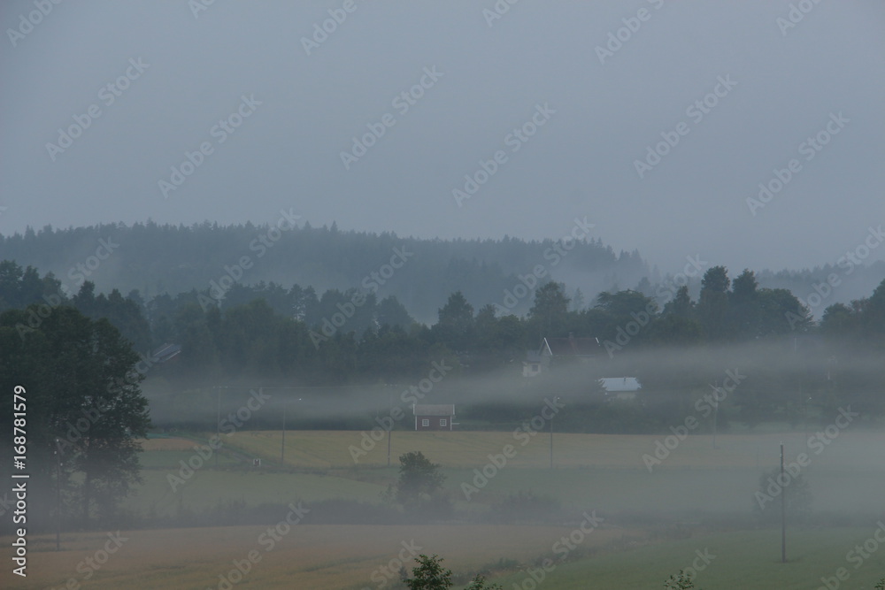 Fototapeta premium Landscape with fog