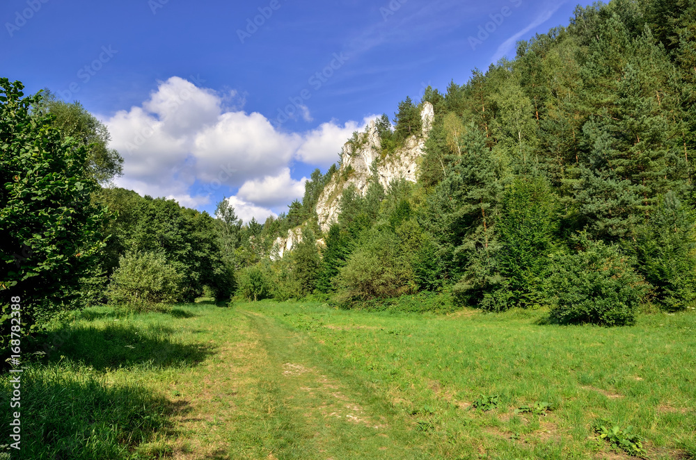 Sunny summer landscape. Beautiful green Jurassic valley in Poland.