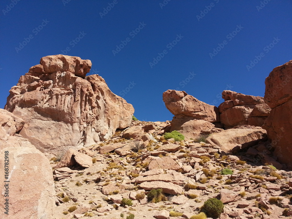 Stones in Altiplano desert, Bolivia, South America.