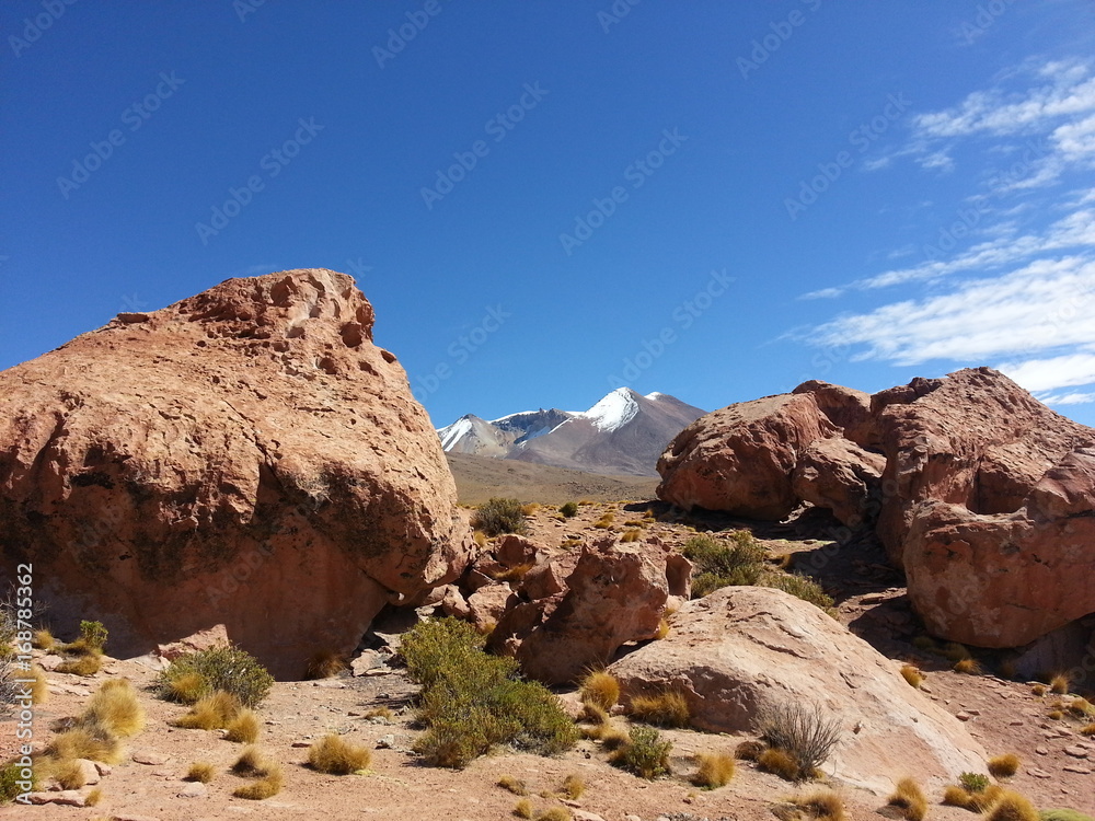 Stones in Altiplano desert, Bolivia, South America.