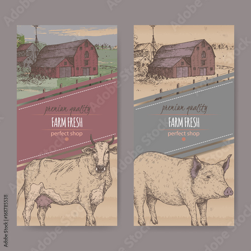 Two farm shop labels with color farmhouse, barn, cow and pig.