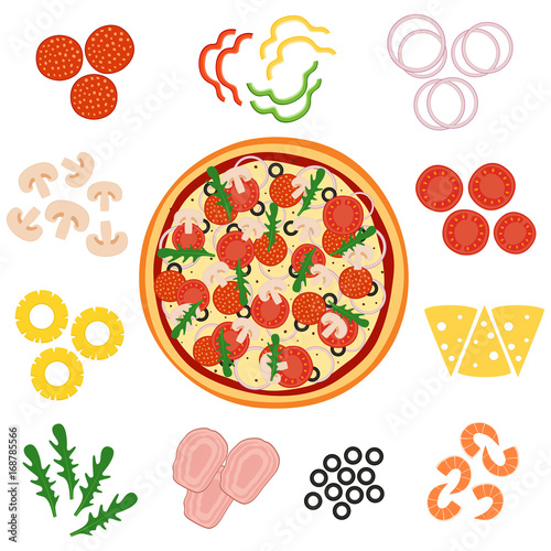 Pizza and ingredients for pizza, vector illustration