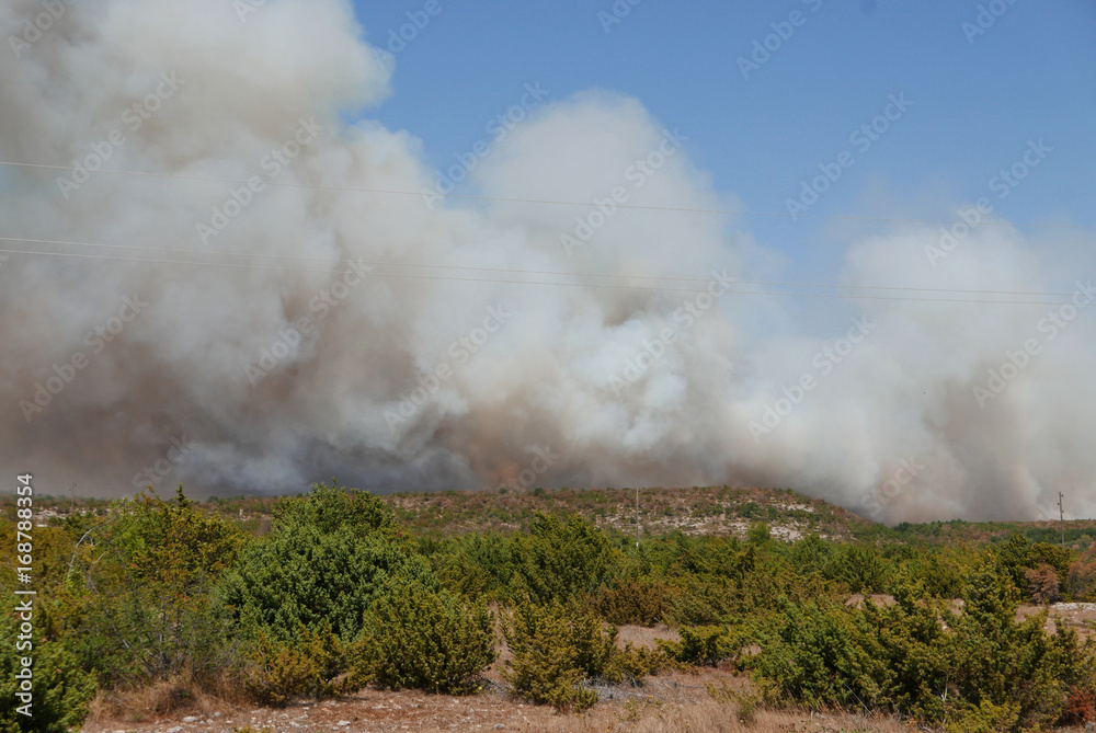 ZADAR, CROATIA - August 21, 2017: series of wildfires devastating the land near tourist resorts, picture taken near Benkovac and Krka National Park ZADAR, CROATIA - August 21, 2017: series of wildfires devastating the land near tourist resorts, picture taken near Benkovac and Krka National Park