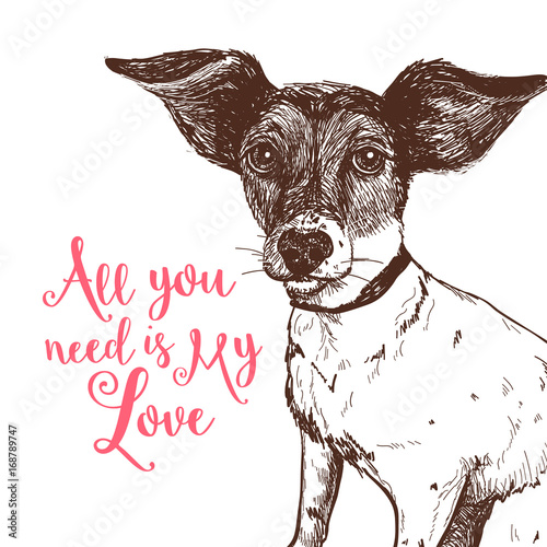 Vector illustration of a hand drawn jack russell terrier dog 