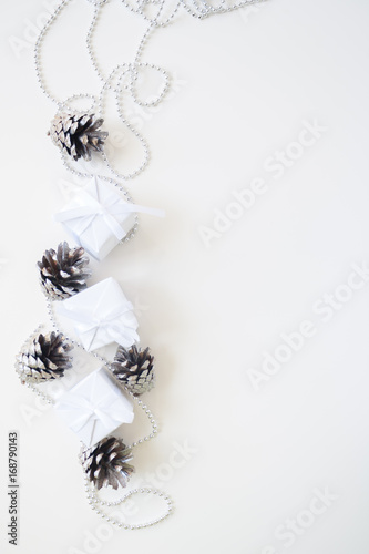 pine cones on a white background
