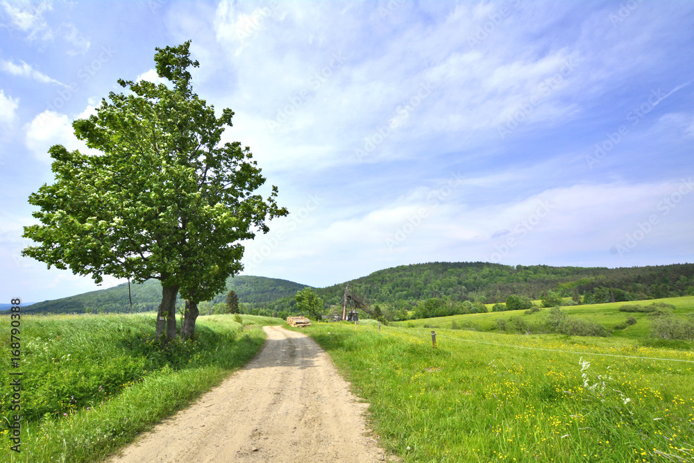 Country road in rural landscape of Beskid Niski, Regietow, Poland