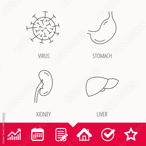 Virus, stomach and kidney icons.