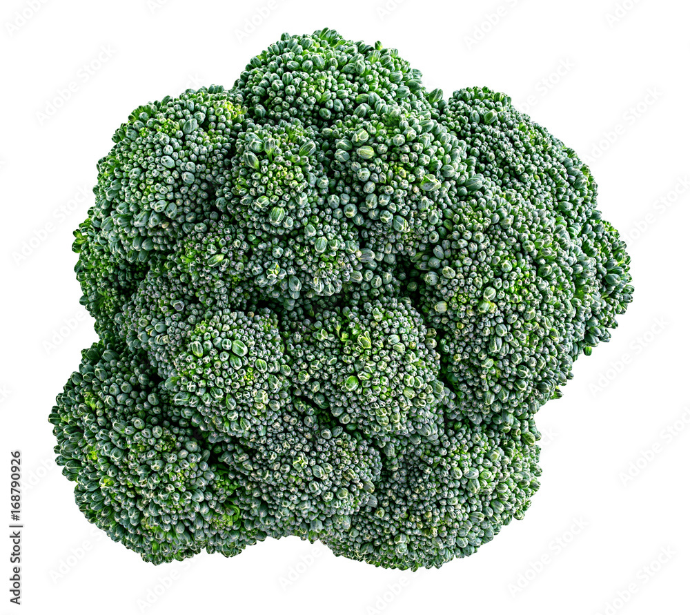 Fresh broccoli isolated on white background Fresh broccoli isolated on white background