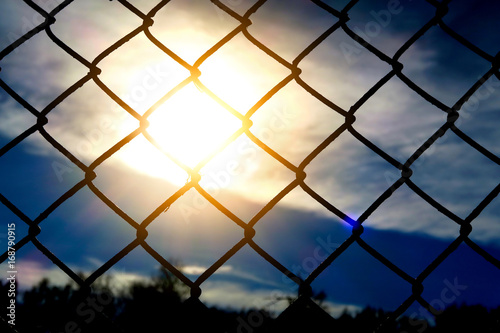 Wire Netting at Sunset