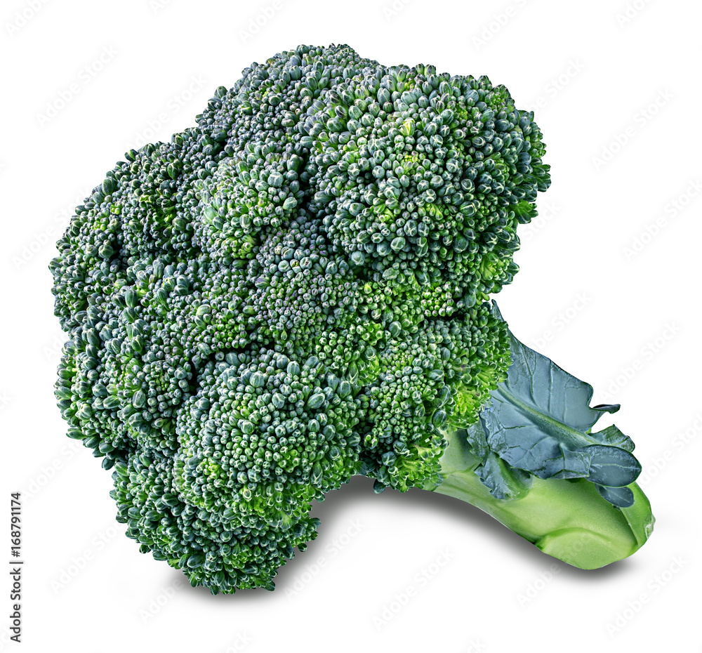 Fresh broccoli isolated on white background Fresh broccoli isolated on white background