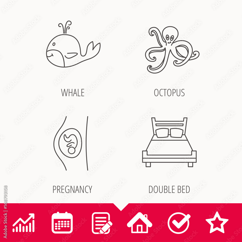 Fototapeta premium Whale, octopus and double bed icons.