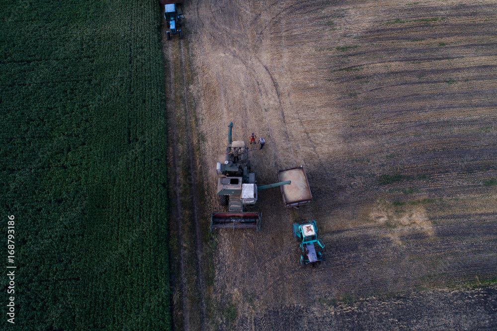 Aerial view of the combine harvester, which pours the grain into the trailer for further processing. Agricultural works. Argo industry. Aerial view of the combine harvester, which pours the grain into the trailer for further processing. Agricultural works. Argo industry.