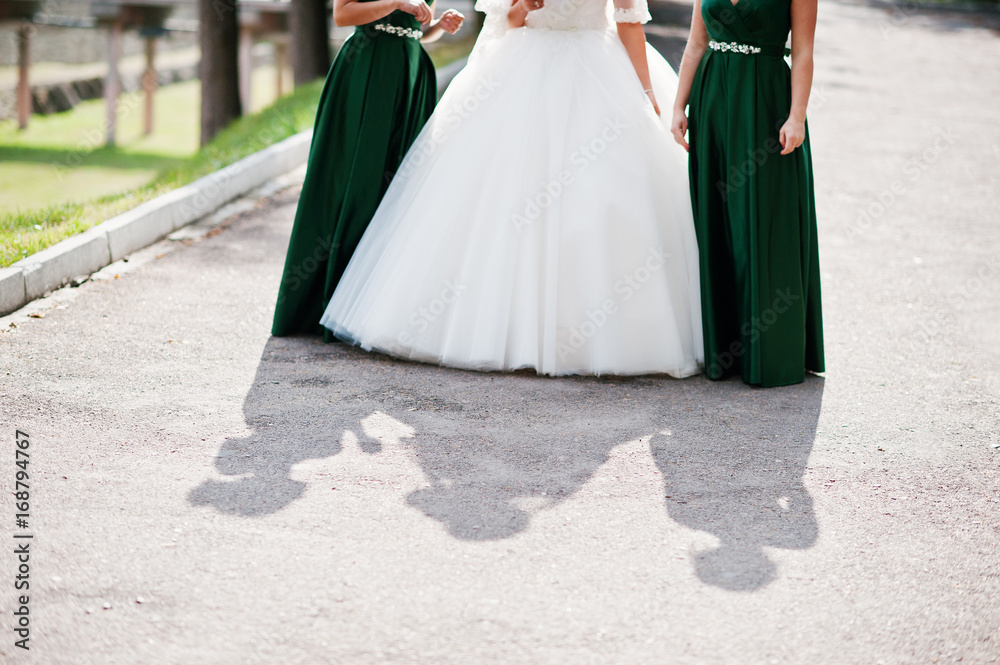 Fabulous bride walking, posing and having fun with her bridesmaids in the downtown on a wedding day. Fabulous bride walking, posing and having fun with her bridesmaids in the downtown on a wedding day.