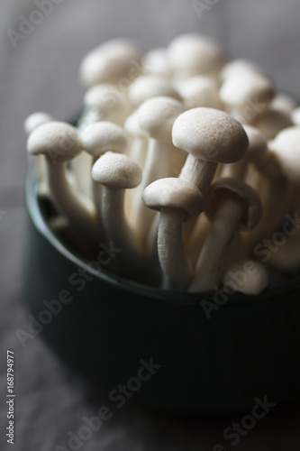 Shimeji mushrooms photo