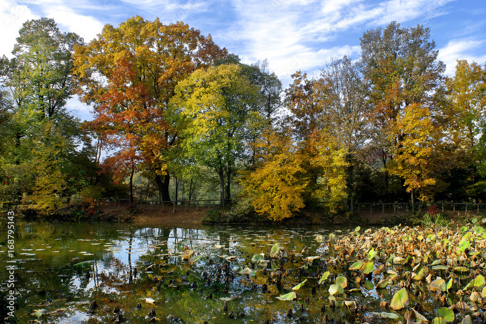 Autumn; small lake in Lombardy.