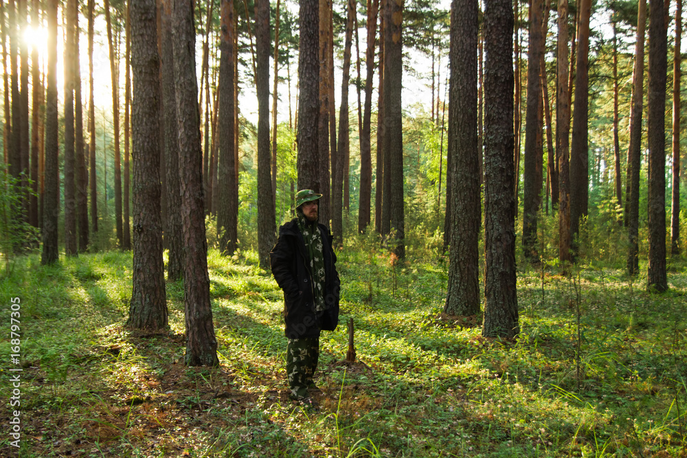 Young man in a black jacket is walking in a pine forest on sunrise. Young man in a black jacket is walking in a pine forest on sunrise.