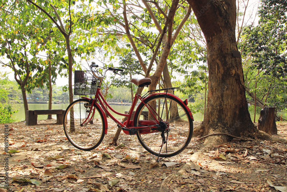 Travel to Bangkok, Thailand. A bicycle on the dry autumn leaves in a park near to a lake.