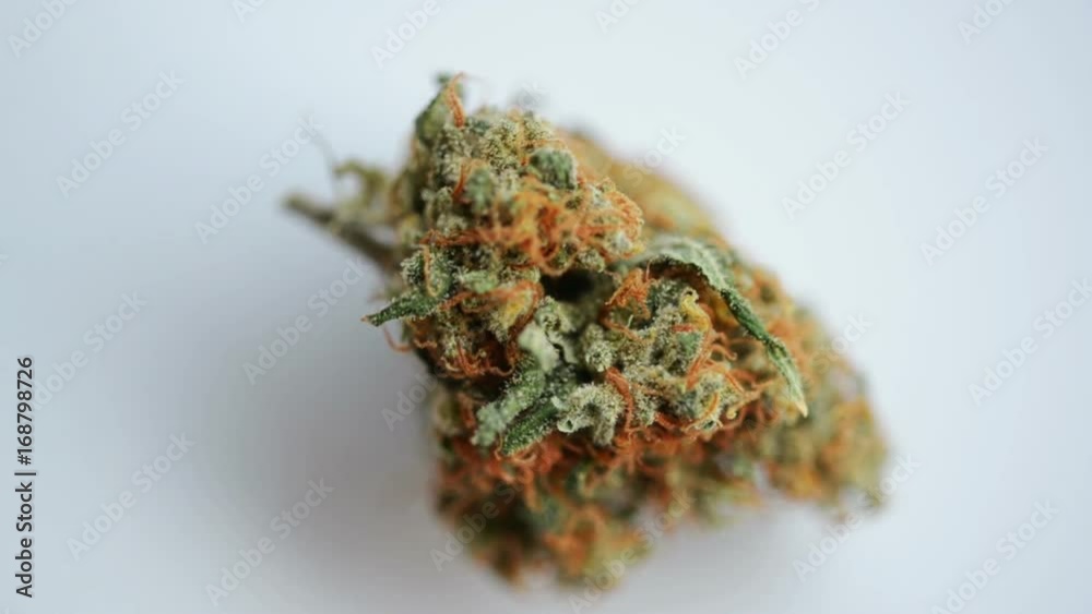 Macro of a marijuana flower dry bud Macro of a marijuana flower dry bud