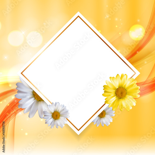 Abstract Natural Floral Frame Background wth Chamomile Flowers. Vector Illustration