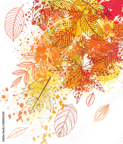 Paint splashes and autumnal leaves