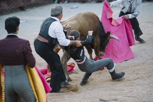 Accident. Matador woman Fighting in a typical Spanish Bullfight photo