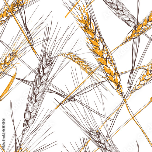 Vector seamless pattern with hand drawn ear of wheat. Hand drawn sketched illustration. Concept for agriculture, organic cereal products, harvesting grain, bakery, healthy food.