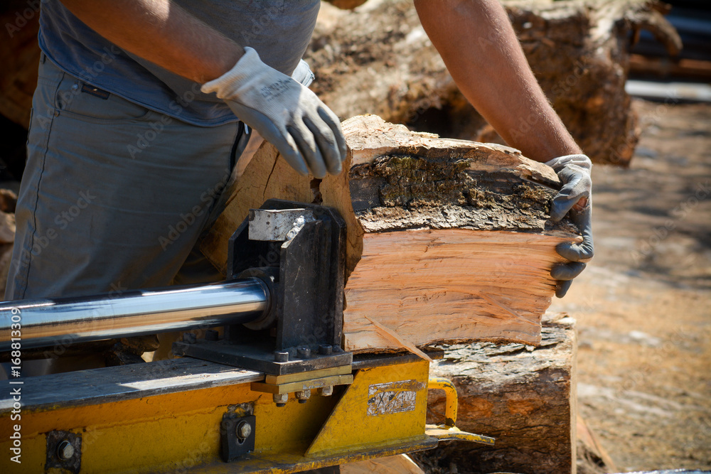 cutting woods in logs cutting woods in logs