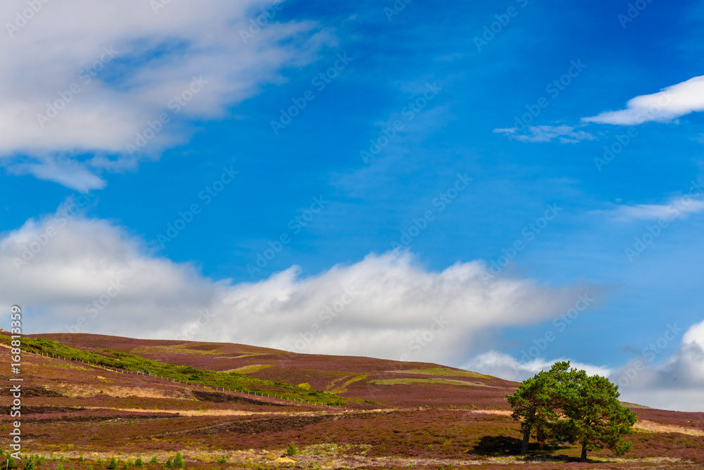 View of Cairgorms National Park