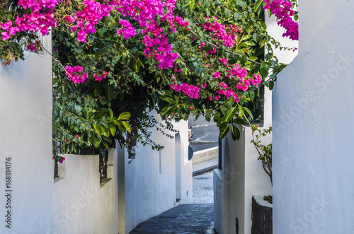 Alley with slope to the sea island stromboli italy