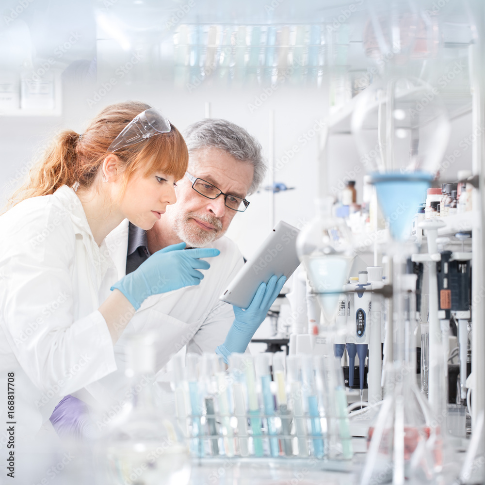 Fototapeta premium Health care researchers working in life scientific laboratory. Young female research scientist and senior male supervisor looking focused at tablet computer screen evaluating and analyzing study data.
