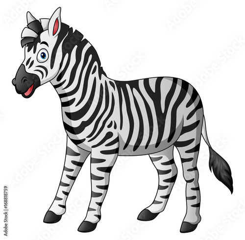 Cute zebra cartoon