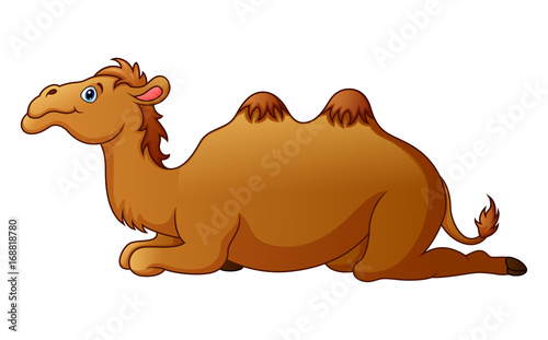 Cute camel cartoon