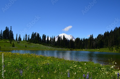 tipsoo lake photo