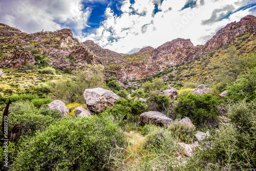 Arizona White Tank Mountains