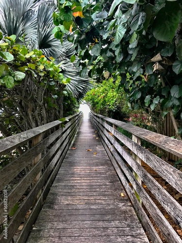 Secret Boardwalk Pathway