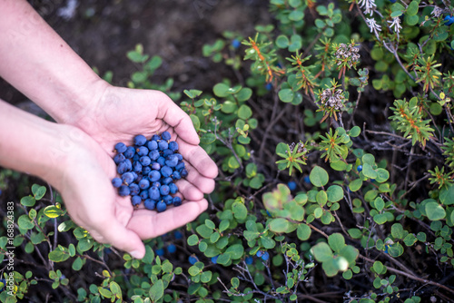 Handful of blueberries