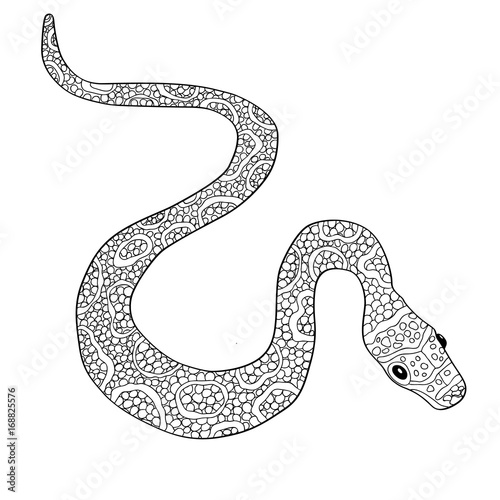 Hand drawn vector doodle outline snake decorated with ornaments.Ready for adult anti stress coloring book