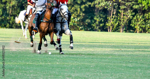 Horse Polo Player battle in match.