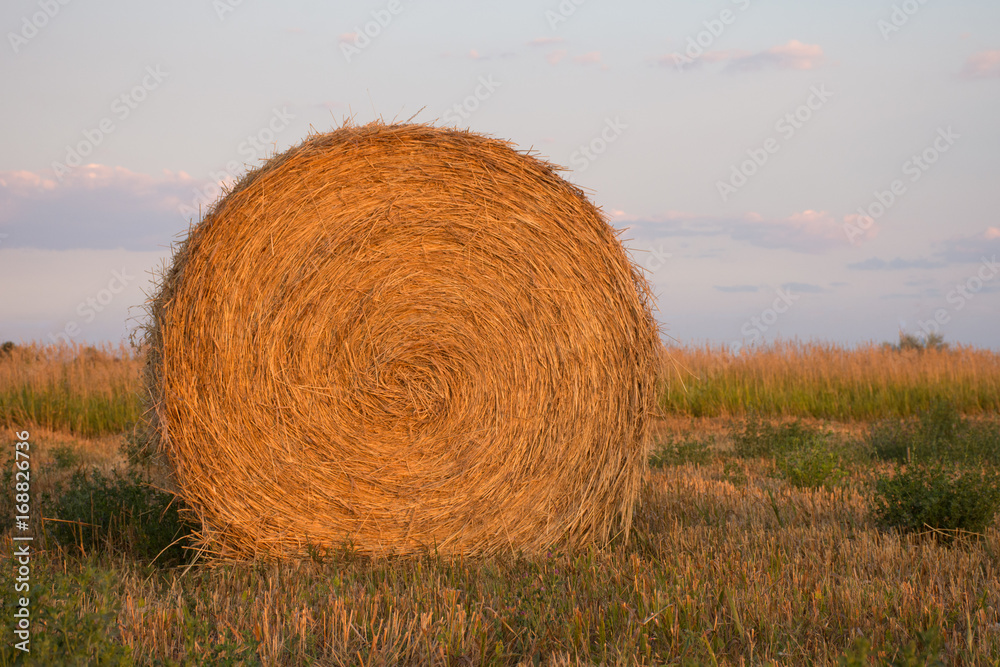 Large Round Hay Bale with harvested grass in the foreground and uncut tall grass in the background. Light blue sky with clouds above. Large Round Hay Bale with harvested grass in the foreground and uncut tall grass in the background. Light blue sky with clouds above.